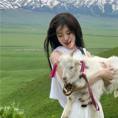 初生之犊